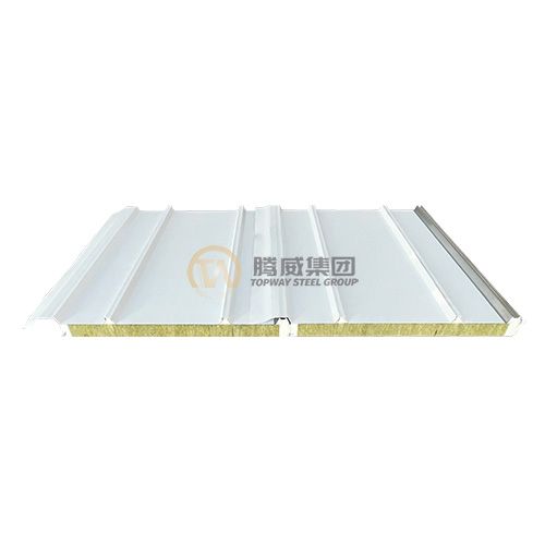 TPO anti-corrosion sandwich panel